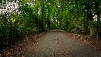 Summer Road Trip Through the English Countryside video