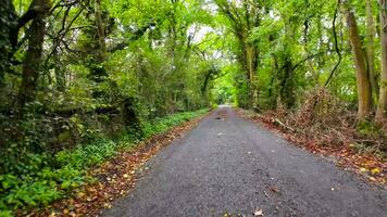 Summer Road Trip Through the English Countryside video