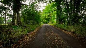 verano la carretera viaje mediante el Inglés campo video