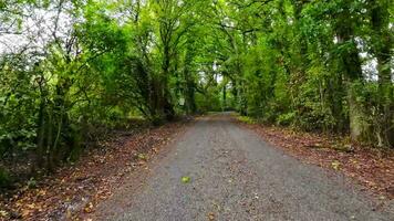 Sommer- Straße Ausflug durch das Englisch Landschaft video