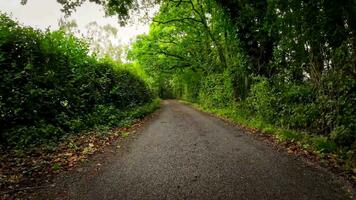 zomer weg reis door de Engels platteland video