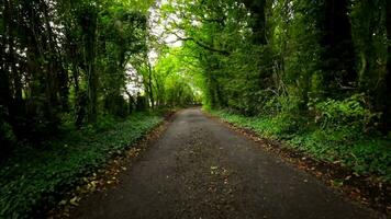 verano la carretera viaje mediante el Inglés campo video