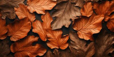 Close-up autumn dry leaf textured wallpaper. Created with AI tools photo