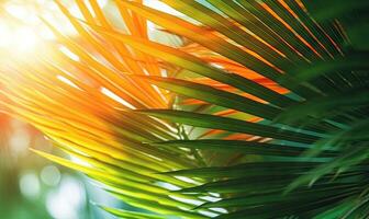 Palm leaves wallpaper. Sunny tropical background. For banner, postcard, book illustration. Created with generative AI tools photo