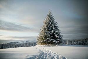 Tranquil Winter Scene with Illuminated Christmas Tree in a Snowy Forest AI Generative photo