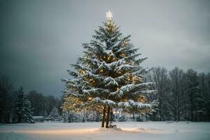 tranquilo invierno escena con iluminado Navidad árbol en un Nevado bosque ai generativo foto