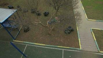 Aerial shot of a child climbing tree in the yard video