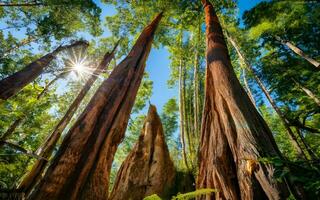 Arboreal Tapestry, A Macro Journey Through the Intricate Textures of Tree Bark. AI Generated photo