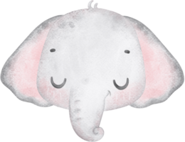 schattig baby olifant slapen, kawaii kinderkamer dier waterverf png