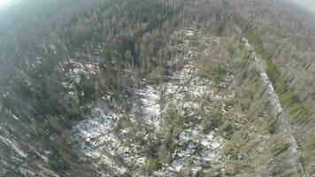 aéreo escena de mezclado bosque con abedules y abeto arboles en invierno video