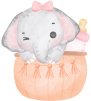 Cute baby shower elephant girl watercolor, kawaii baby elephant animal in basket nursery cartoon illustration png