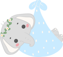 baby douche olifant png