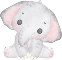 Cute baby elephant, kawaii nursery animal watercolor png