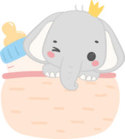 Baby shower elephant, cute elephant boy in basket png