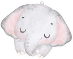 schattig baby olifant slapen, kawaii kinderkamer dier waterverf png