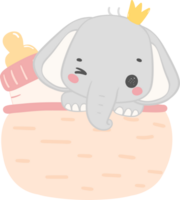 bebê chuveiro elefante, fofa elefante dentro cesta png