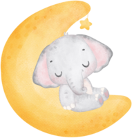 Cute baby shower elephant girl watercolor, kawaii baby elephant animal on crescent nursery cartoon illustration png