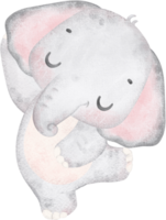 linda bebé elefante, kawaii guardería animal acuarela png