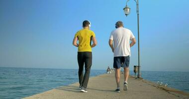 Men exercising by walking backward along the pier video