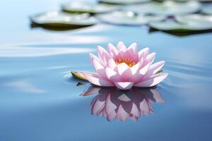 A floating lotus flower on the calm surface of a pond symbolizes the potential for transformation and spiritual growth through the practice of meditation and mindfulness. AI Generative photo