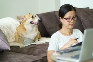 Woman playing with her dog at home lovely corgi on sofa in living room. photo