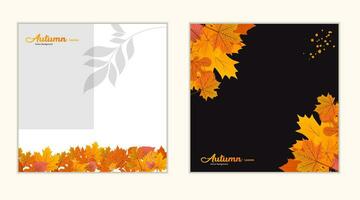 Vector background with red, orange, brown and yellow falling autumn leaves