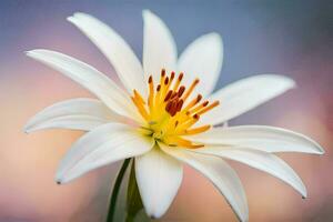 Lily Flower Ai Generative photo