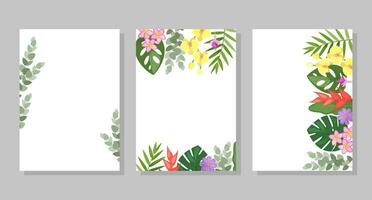 Set of tropical flower compositions, backgrounds, frames, postcards. Vector botanical illustration for booklet, invitation or flyer.