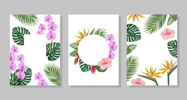 Set of tropical flower compositions, backgrounds, frames, postcards. Vector botanical illustration for booklet, invitation or flyer.