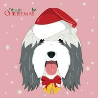 Christmas greeting card. Bearded Collie dog with red Santa's hat and golden Christmas bells vector