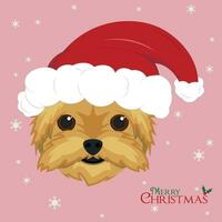 Christmas greeting card. Yorkshire Terrier dog with red Santa's hat vector