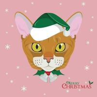 Christmas greeting card. Abyssinian cat with green Santa's hat and a Christmas ornament vector