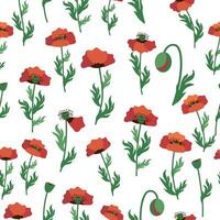 Summer seamless pattern with bright red poppy flowers and poppy pods. Field, meadow of poppies vector