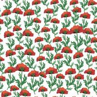 Summer seamless pattern with bright red poppy flowers and poppy pods. Field, meadow of poppies vector