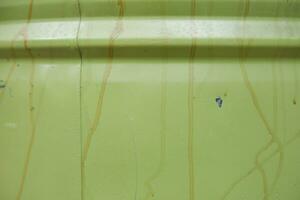 abstract green and wavy texture background photo