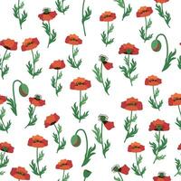 Summer seamless pattern with bright red poppy flowers and poppy pods. Field, meadow of poppies vector