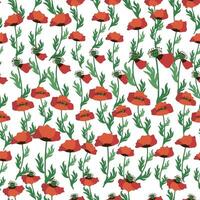 Summer seamless pattern with bright red poppy flowers and poppy pods. Field, meadow of poppies vector