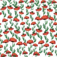 Summer seamless pattern with bright red poppy flowers and poppy pods. Field, meadow of poppies vector