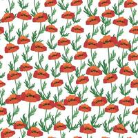 Summer seamless pattern with bright red poppy flowers and poppy pods. Field, meadow of poppies vector