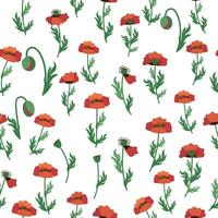 Summer seamless pattern with bright red poppy flowers and poppy pods. Field, meadow of poppies vector