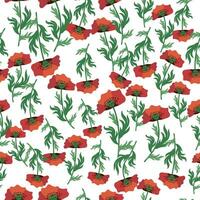 Summer seamless pattern with bright red poppy flowers and poppy pods. Field, meadow of poppies vector