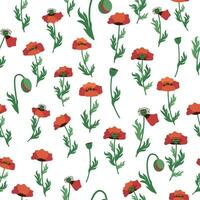 Summer seamless pattern with bright red poppy flowers and poppy pods. Field, meadow of poppies vector