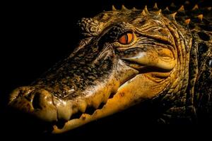 Close up view crocodile. Wild animal isolated on a black background. Neural network AI generated photo