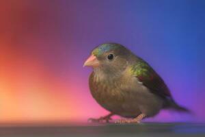 fantasía linda arco iris pájaro adecuado para niños libro. neural red ai generado foto