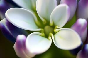 Fresh lilac blossom beautiful purple flowers. Neural network AI generated photo