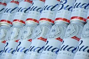 Many Cans of Budweiser Lager Alcohol Beer lies on camo surface. Budweiser is Brand from Anheuser-Busch Inbev most popular in America photo