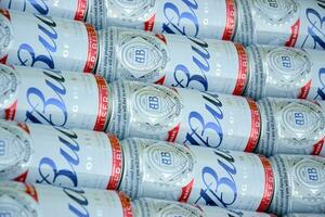 Many Cans of Budweiser Lager Alcohol Beer lies on camo surface. Budweiser is Brand from Anheuser-Busch Inbev most popular in America photo