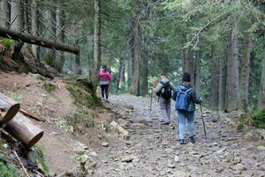 montañas de los cárpatos, ucrania - 8 de octubre de 2022 monte hoverla. cárpatos en ucrania en otoño foto