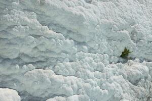 Texture of Pamukkale famous blue travertine pools and terraces photo