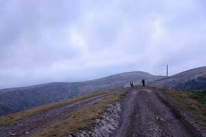 CARPATHIAN MOUNTAINS, UKRAINE - OCTOBER 8, 2022 Mount Dragobrat. Carpathians in Ukraine in foggy day photo